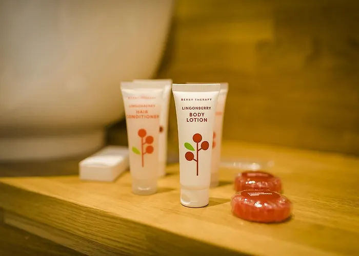 Santa Claus Village Rovaniemi